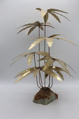 Palm Tree on Stone