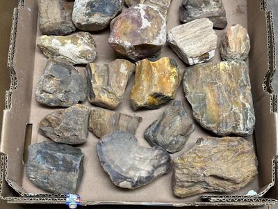 MEDIUM ROCKS (1)