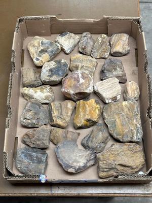 MEDIUM ROCKS (1)