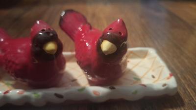 Ceramic Cardinals salt and pepper shakers and tray