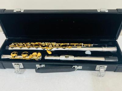 FLUTE Lot Of 5~ DELPHI & GEMEINHARDT