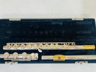 FLUTE Lot Of 5~ DELPHI & GEMEINHARDT