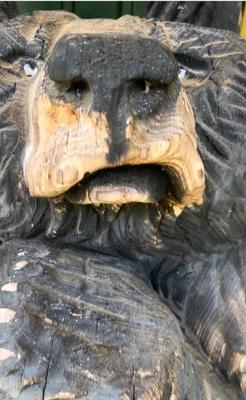 Solid Wood Hand Carved Bear