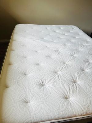 Clean Adjustable Full Size Sleep Number