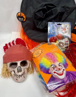 Halloween Costume Lot - With Hat with hair, Skull, black & orange velvet Witch Hat, scarf, wigs, etc