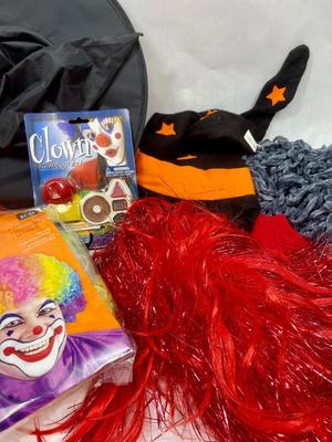 Halloween Costume Lot - With Hat with hair, Skull, black & orange velvet Witch Hat, scarf, wigs, etc