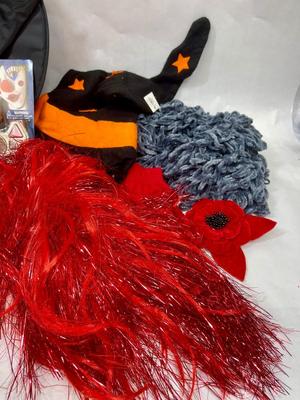 Halloween Costume Lot - With Hat with hair, Skull, black & orange velvet Witch Hat, scarf, wigs, etc