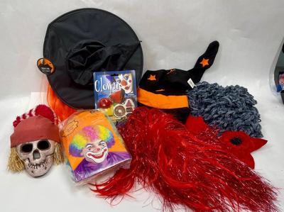 Halloween Costume Lot - With Hat with hair, Skull, black & orange velvet Witch Hat, scarf, wigs, etc