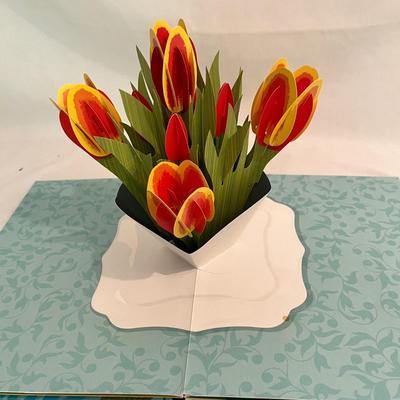 Three Dimensional Models & Pop Up Books (D-MK)