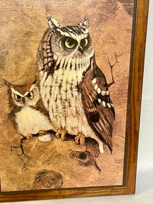 Vintage Richard Hinger Screech Owl Wood Framed Picture Print Wall Art Mid Century MCM