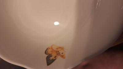 Butterfly meadow Lenox dishes -24 peices