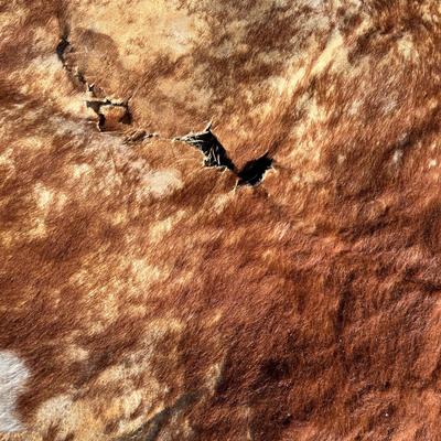 Vintage cow hide