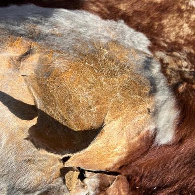 Vintage cow hide