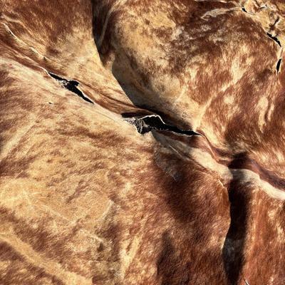 Vintage cow hide