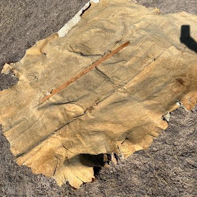 Vintage cow hide