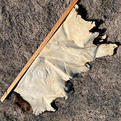 Large cow hide