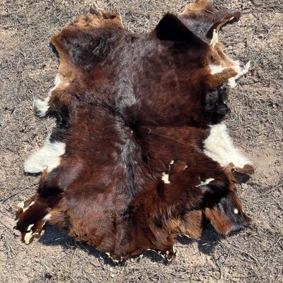 Large cow hide