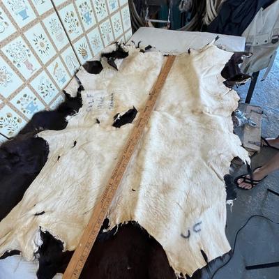 2 medium hides