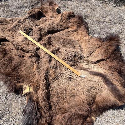 Rustic cow hide