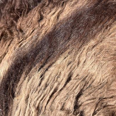 Rustic cow hide