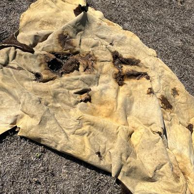 Rustic cow hide
