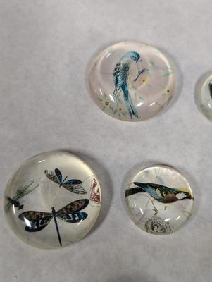 Handmade Bird Magnets