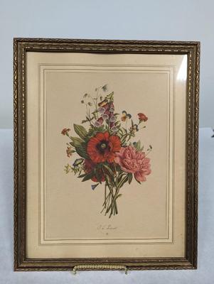 1930's Jean Louis Prevost Framed Botanical Print Sidney Z. Lucas Publisher