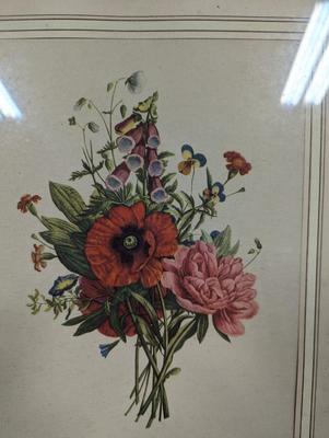 1930's Jean Louis Prevost Framed Botanical Print Sidney Z. Lucas Publisher