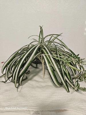 Lot 16: Lot of Misc Artificial Lighted Decorative Foliage