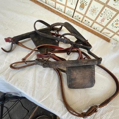Horse bridal with blinders