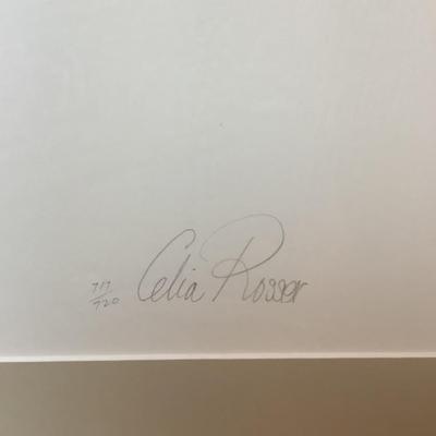 505 Australian Celia Rosser Circa Banksia Quercifolia Signed & Numbered Lithograph