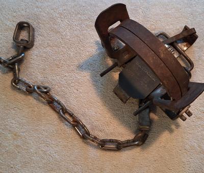Animal Trap
