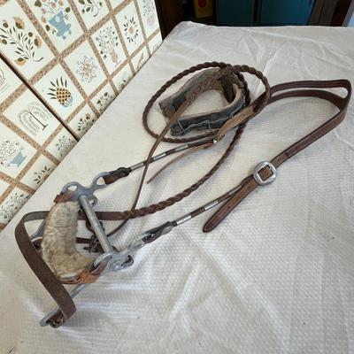 Horse bridal with bits