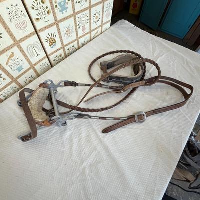 Horse bridal with bits