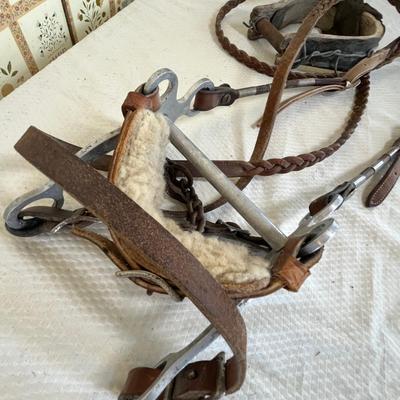 Horse bridal with bits