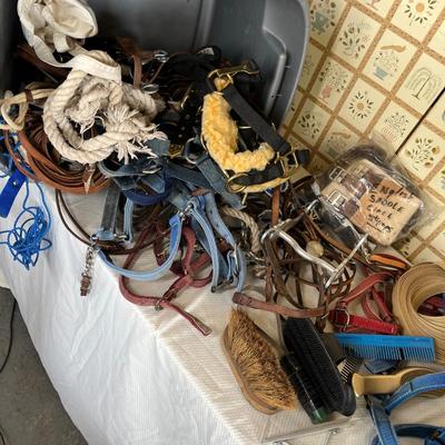 Tub of horse grooming items & other