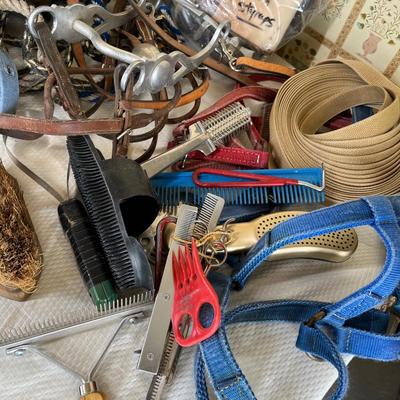 Tub of horse grooming items & other