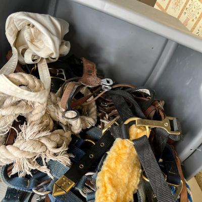 Tub of horse grooming items & other