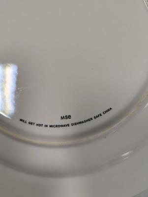 24 Pieces Of Martha Stewart (MSE) China