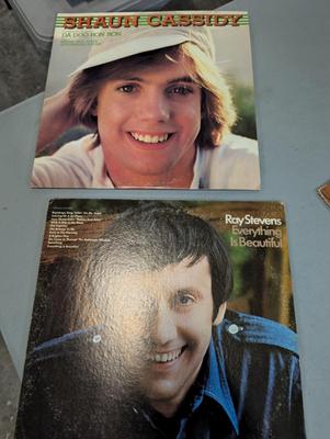 Vintage Records Village People Muskrat Love Shaun Cassidy Etc.....