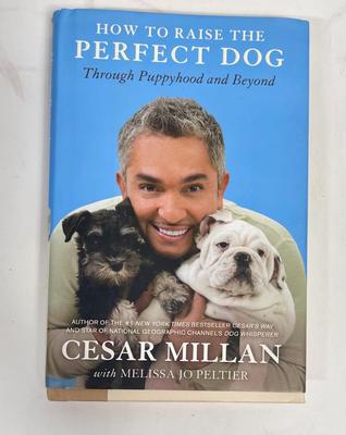 Dog Training Book hardback - How to Raise the Perfect Dog by Cesar Millan