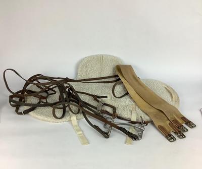 548 Equestrian Horse Riding Equipment