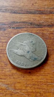 LOT 76 1857 FLYING EAGLE CENT
