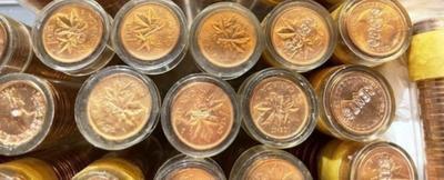 (10-Rolls) 1963 Canada Choice Uncirculated Red Queen Elizabeth II Canadian Cents Fresh Lot Preowned from an Estate.