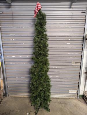 Lighted Christmas Tree