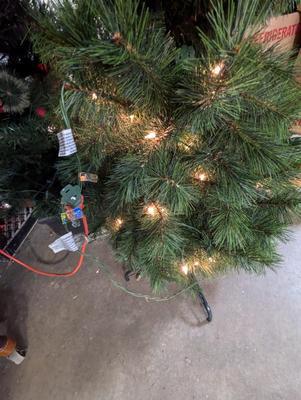 Lighted Christmas Tree