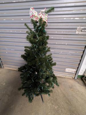 Lighted Christmas Tree