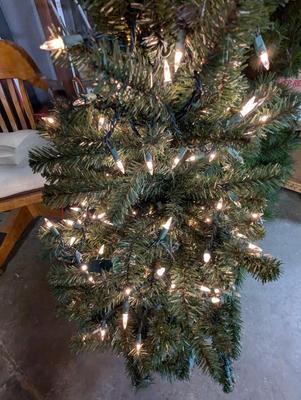 Lighted Christmas Tree