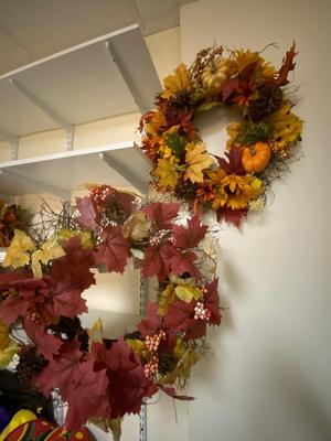 Autumn Decor Lot