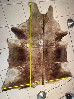 Lot 60. Animal Hide